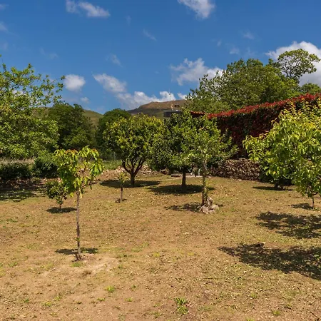 Host Wise - Rustic House With Pool And Garden * 빌라노바 데 세르베이라